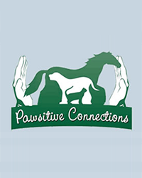 Pawsitive Connections